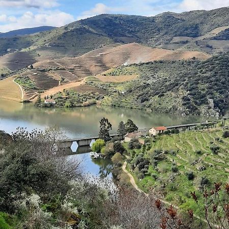 Quinta Da Ferradosa Wines Konuk evi São João da Pesqueira Dış mekan fotoğraf