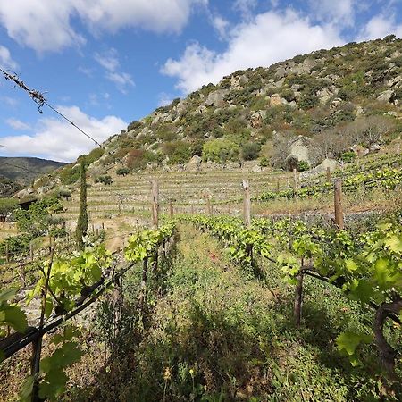 Quinta Da Ferradosa Wines Konuk evi São João da Pesqueira Dış mekan fotoğraf
