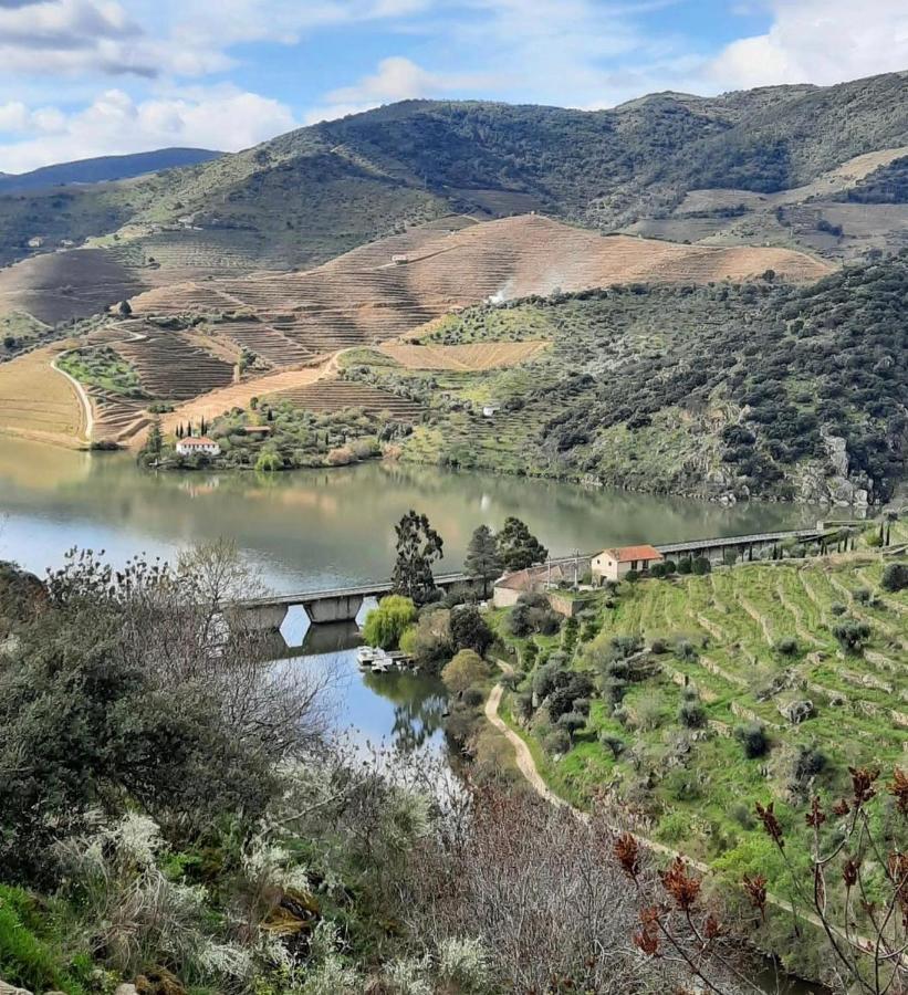 Quinta Da Ferradosa Wines Konuk evi São João da Pesqueira Dış mekan fotoğraf
