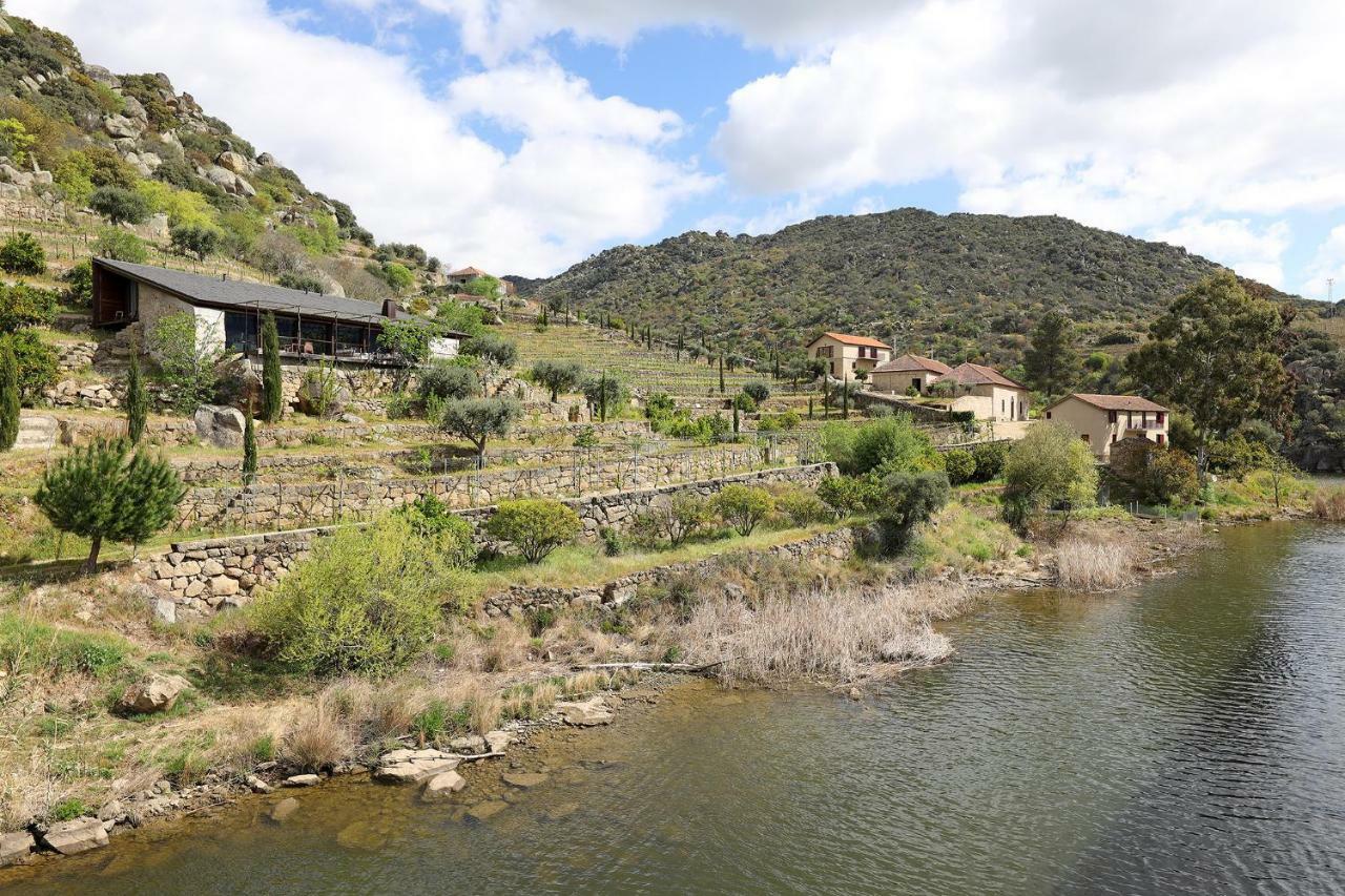 Quinta Da Ferradosa Wines Konuk evi São João da Pesqueira Dış mekan fotoğraf