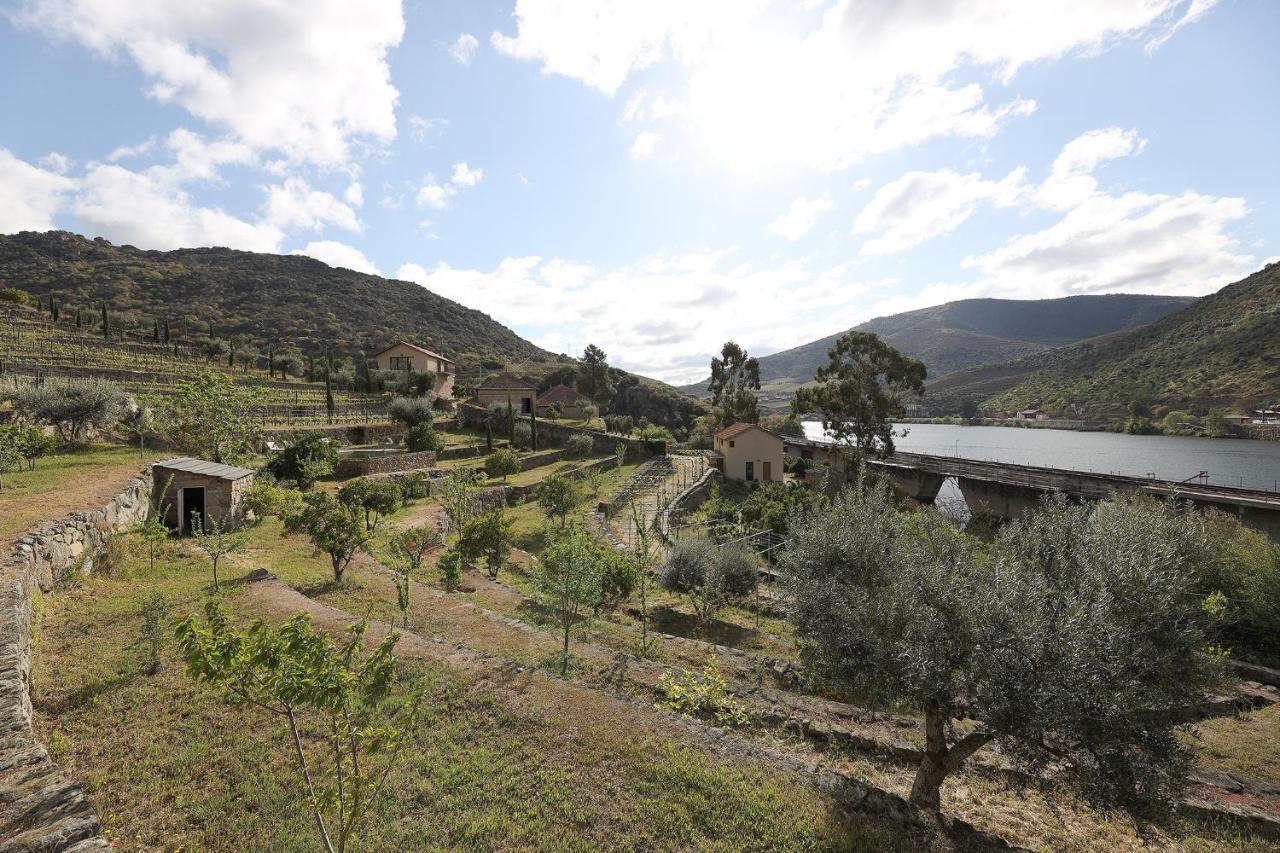 Quinta Da Ferradosa Wines Konuk evi São João da Pesqueira Dış mekan fotoğraf
