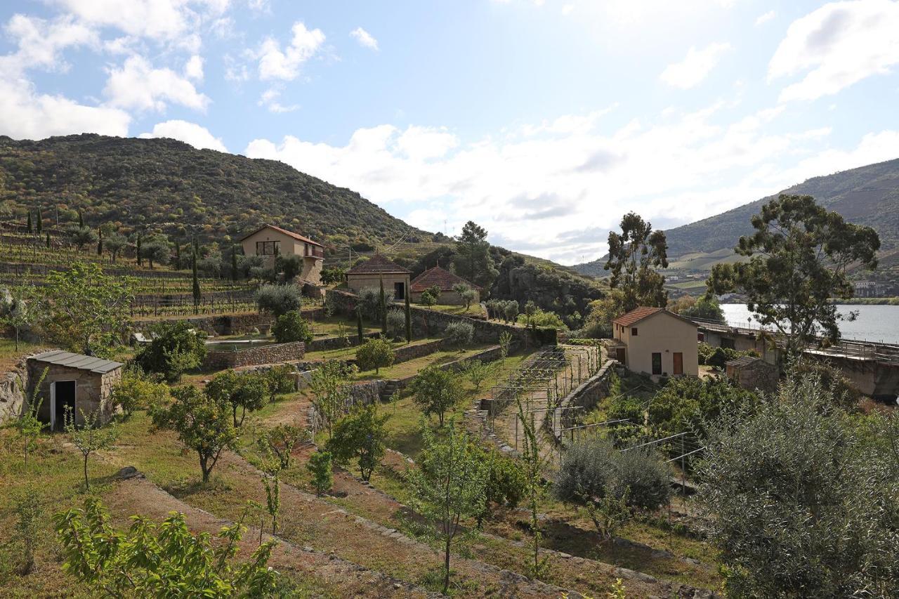 Quinta Da Ferradosa Wines Konuk evi São João da Pesqueira Dış mekan fotoğraf