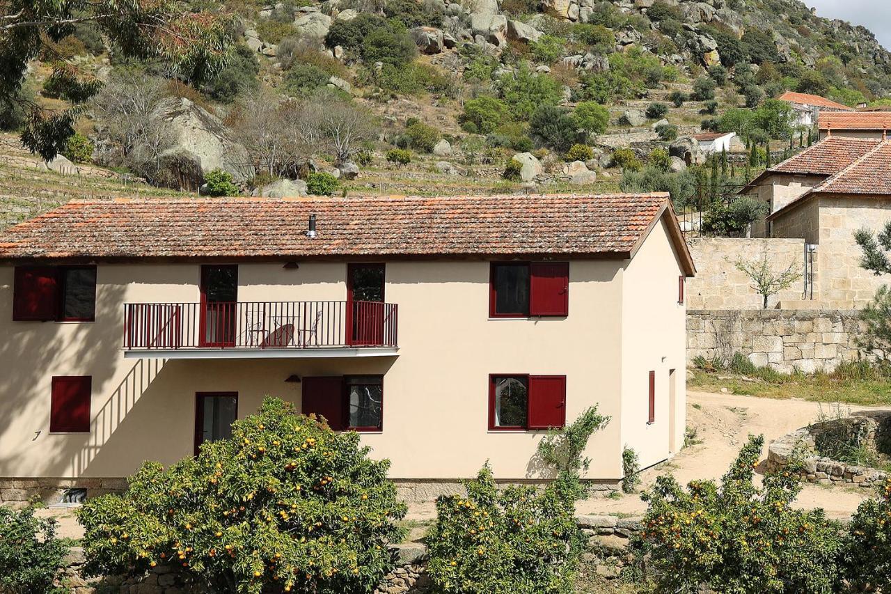Quinta Da Ferradosa Wines Konuk evi São João da Pesqueira Dış mekan fotoğraf
