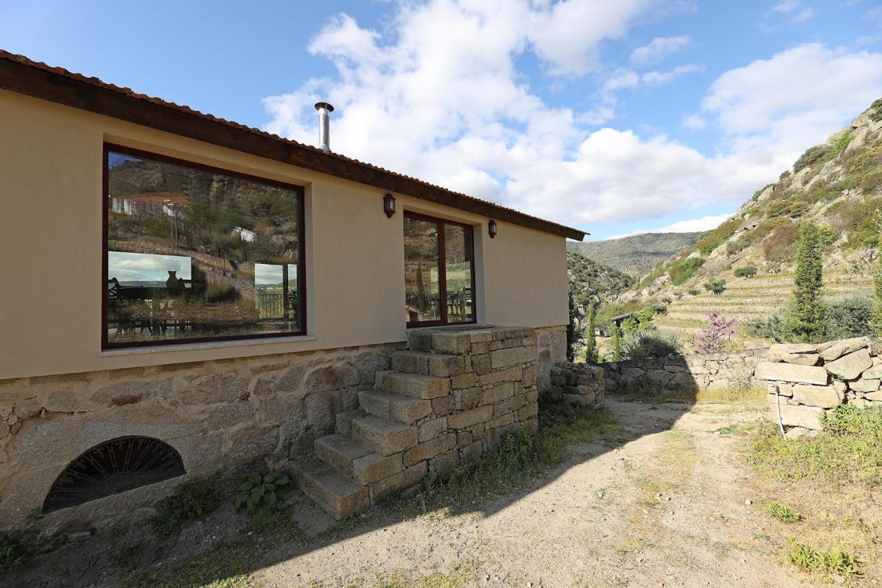 Quinta Da Ferradosa Wines Konuk evi São João da Pesqueira Dış mekan fotoğraf