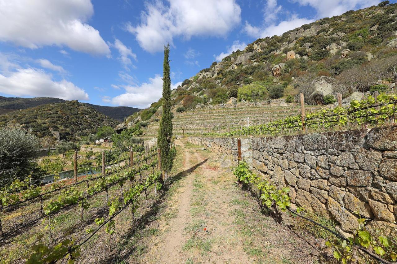 Quinta Da Ferradosa Wines Konuk evi São João da Pesqueira Dış mekan fotoğraf